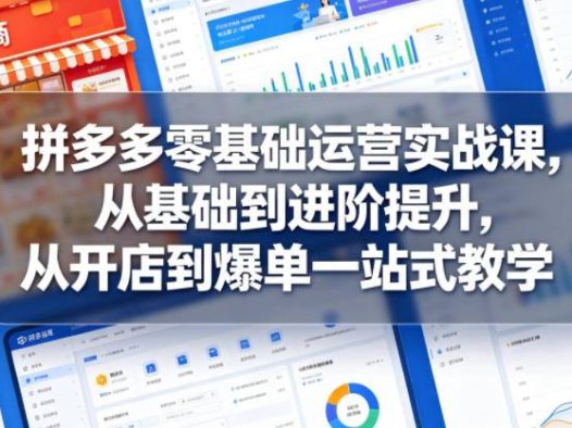 拼多多零基础运营实战课，从基础到进阶提升，从开店到爆单一站式教学