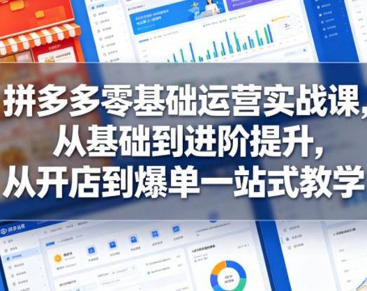 拼多多零基础运营实战课，从基础到进阶提升，从开店到爆单一站式教学